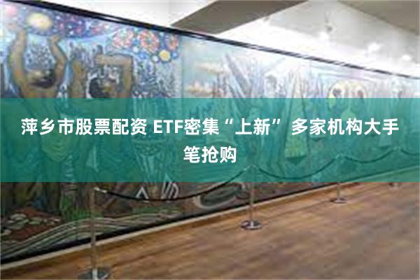 萍乡市股票配资 ETF密集“上新” 多家机构大手笔抢购