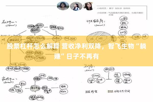 股票杠杆怎么解释 营收净利双降，智飞生物“躺赚”日子不再有