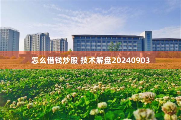 怎么借钱炒股 技术解盘20240903