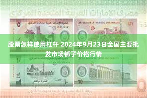 股票怎样使用杠杆 2024年9月23日全国主要批发市场瓠子价格行情