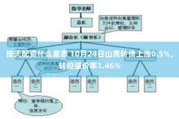 按天配资什么意思 10月24日山鹰转债上涨0.5%，转股溢价率1.46%