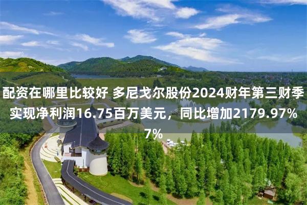 配资在哪里比较好 多尼戈尔股份2024财年第三财季实现净利润16.75百万美元，同比增加2179.97%