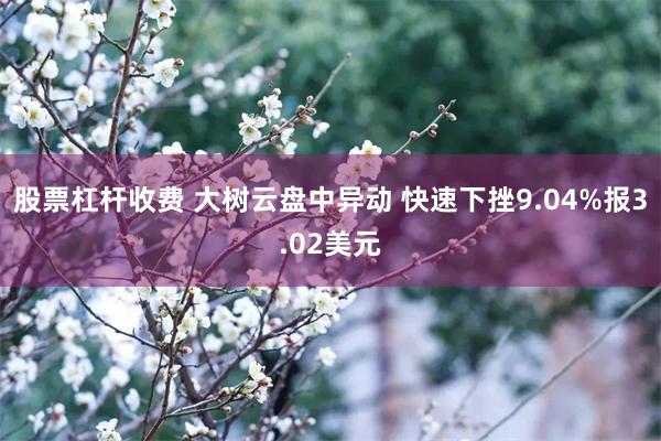 股票杠杆收费 大树云盘中异动 快速下挫9.04%报3.02美元