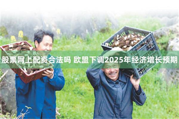股票网上配资合法吗 欧盟下调2025年经济增长预期